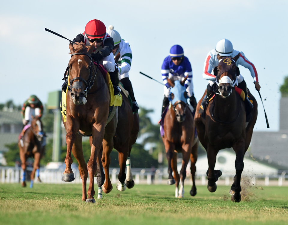 Gulfstream scenic - Ryan Thompson - Coglianese Photo