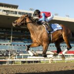 Fire and Wine - Ontario Derby (Grade III) - Woodbine/ Michael Burns Photo