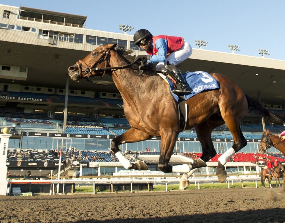 Fire and Wine - Ontario Derby (Grade III) - Woodbine/ Michael Burns Photo