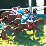 Adonius (Ire) - Indian Summer Stakes G3 - Keeneland - Coady Media