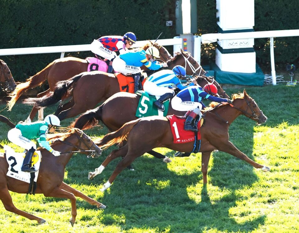 Adonius (Ire) - Indian Summer Stakes G3 - Keeneland - Coady Media