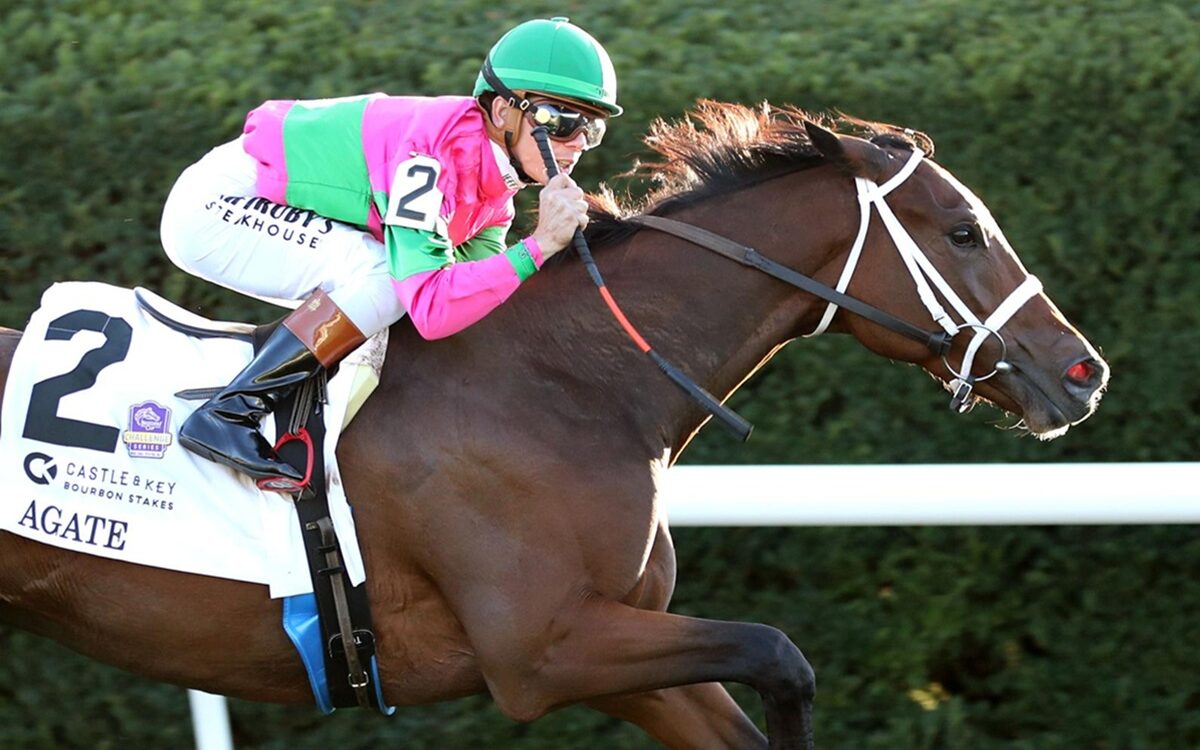 Agate - Castle & Key Bourbon Stakes G1 - Keeneland - Coady Media
