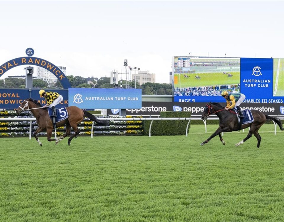 Autumn Glow (Ire) - Caulfield Cup G1 - Foto vía ©️Sky Racing World. Derechos reservados.