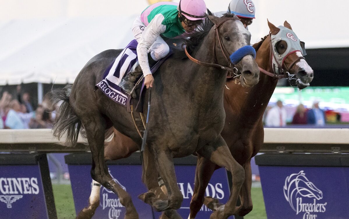 Arrogate (outside) y California Chrome (inside) - Breeders' Cup Classic at Santa Anita Park on Nov. 5, 2016. - Benoit Photo