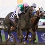 Arrogate (outside) y California Chrome (inside) - Breeders' Cup Classic at Santa Anita Park on Nov. 5, 2016. - Benoit Photo