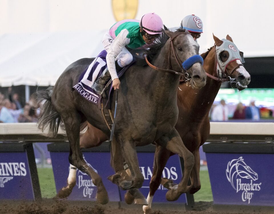 Arrogate (outside) y California Chrome (inside) - Breeders' Cup Classic at Santa Anita Park on Nov. 5, 2016. - Benoit Photo