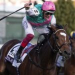 Enable, - Breeders' Cup Turf at Churchill Downs on Nov. 3, 2018. - Barbara D. Livingston / Daily Racing Form