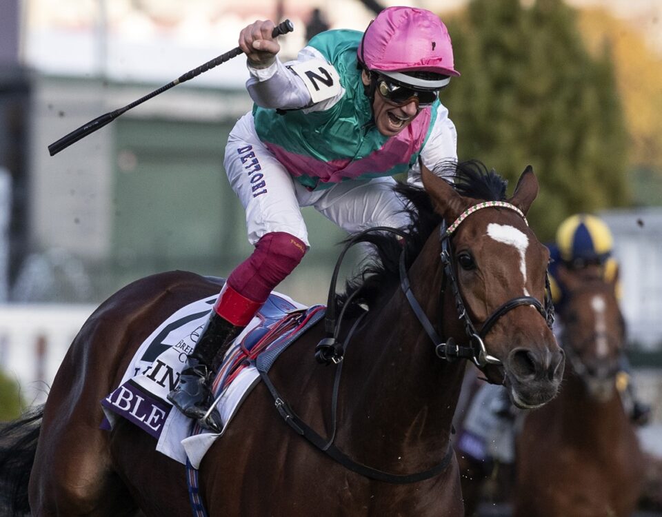 Enable, - Breeders' Cup Turf at Churchill Downs on Nov. 3, 2018. - Barbara D. Livingston / Daily Racing Form