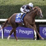 Bacio (Maclean's Music) - Breeders' Cup Turf Sprint G1 $1,000,000 -Barbara D. Livingston - Daily Racing Form
