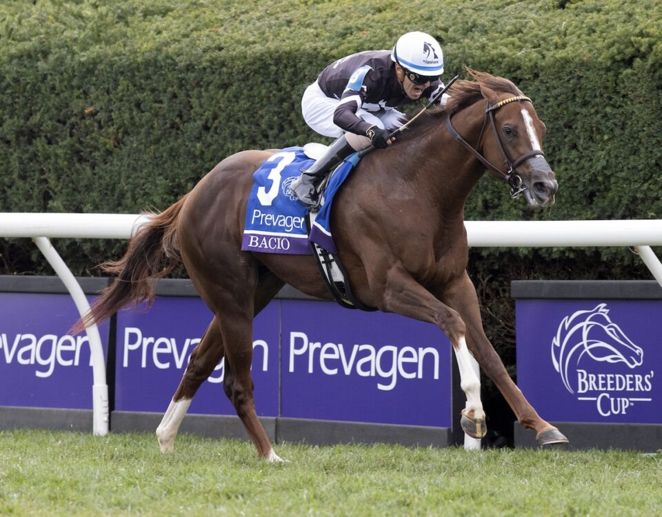 Bacio (Maclean's Music) - Breeders' Cup Turf Sprint G1 $1,000,000 -Barbara D. Livingston - Daily Racing Form