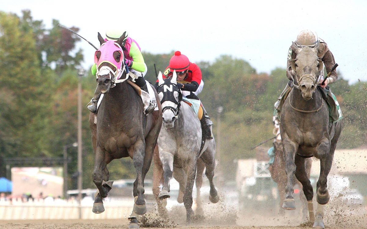 Barbadian Runner - Photo by Bill Denver/MJC EQUI-PHOTO