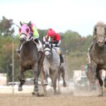 Barbadian Runner - Photo by Bill Denver/MJC EQUI-PHOTO