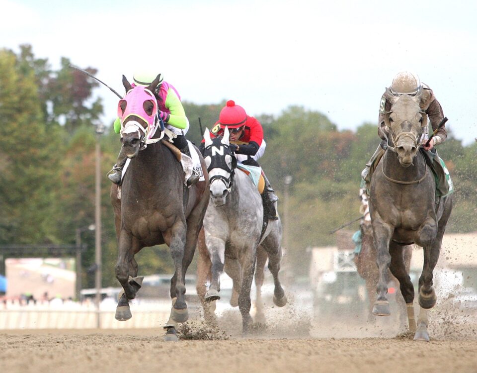 Barbadian Runner - Photo by Bill Denver/MJC EQUI-PHOTO