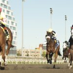 Magical Trickster - Frost King Stakes - Woodbine / Michael Burns Photo