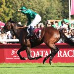 DARYZ ( FR) - G1 Qatar Prix de l'Arc de Triomphe - Longchamp - Coady Media
