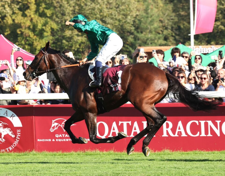 DARYZ ( FR) - G1 Qatar Prix de l'Arc de Triomphe - Longchamp - Coady Media