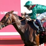 DARYZ ( FR) – G1 Qatar Prix de l’Arc de Triomphe – Longchamp – Coady Media