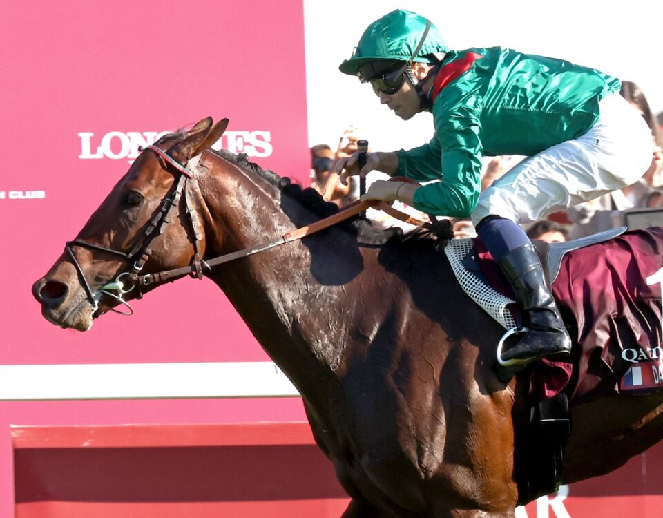 DARYZ ( FR) – G1 Qatar Prix de l’Arc de Triomphe – Longchamp – Coady Media