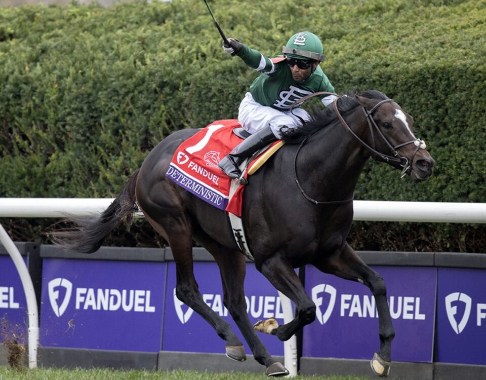 Deterministic - Breeders' Cup Mile G1 2026 - Keeneland - Barbara D. Livingston - Daily Racing Form