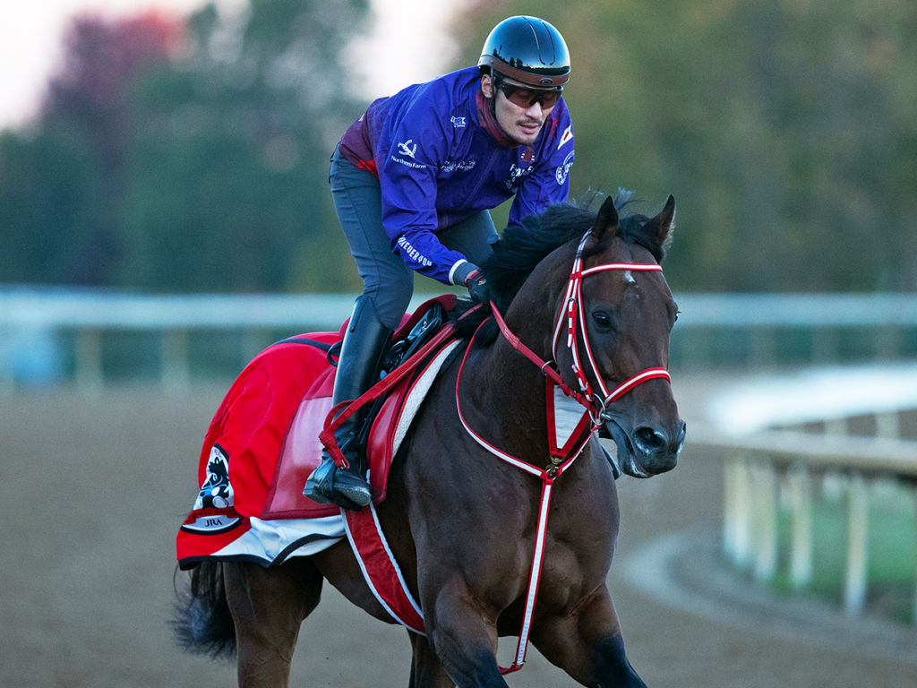 Forever Young (Jpn) en Keeneland - Barbara D. Livingston, Daily Racing Form