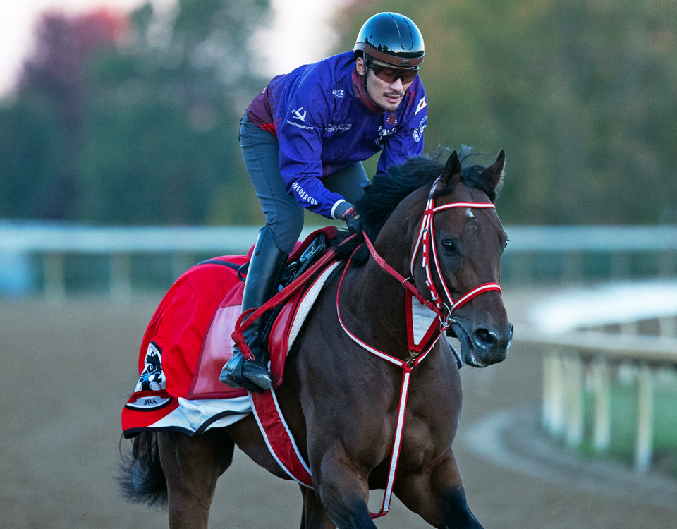 Forever Young (Jpn) en Keeneland - Barbara D. Livingston, Daily Racing Form