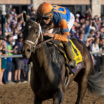 Forte, Breeders' Cup Juvenile 2022 - Debra Roma, Daily Racing Form