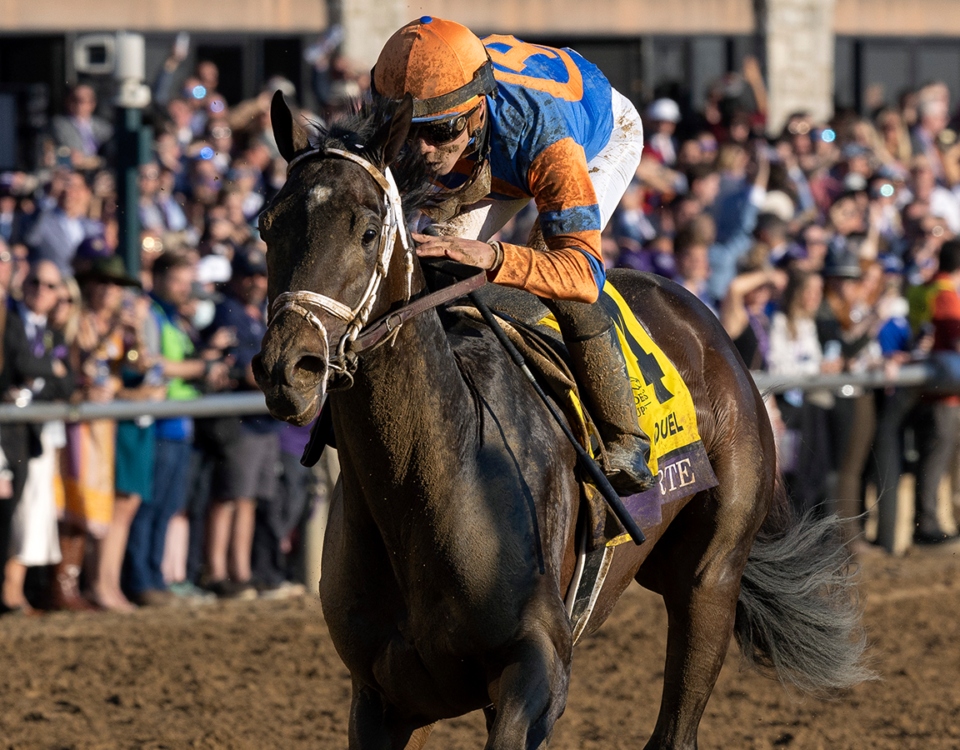 Forte, Breeders' Cup Juvenile 2022 - Debra Roma, Daily Racing Form