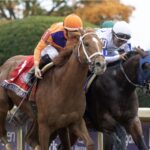 Further Ado - Breeders' Cup Dirt Mile G1 2026 - Keeneland - Barbara D. Livingston - Daily Racing Form