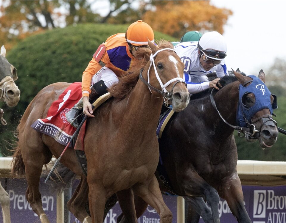 Further Ado - Breeders' Cup Dirt Mile G1 2026 - Keeneland - Barbara D. Livingston - Daily Racing Form