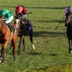 Haffner (Justify) - Breeders’ Cup Juvenile Turf  G1 $1,000,000