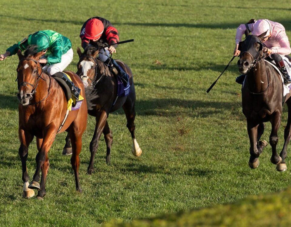 Haffner (Justify) - Breeders’ Cup Juvenile Turf G1 $1,000,000
