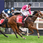 COSMIC CRUSADER winning the Ladbrokes Cox Plate at Flemington in Australia. Picture: Racing Photos