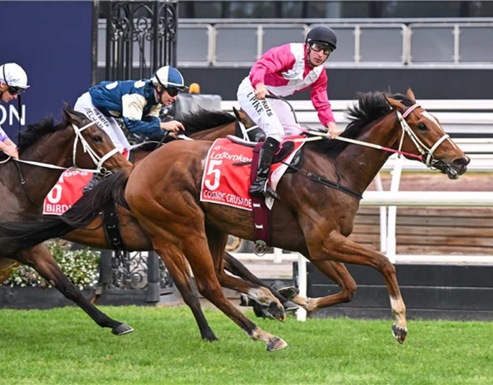 COSMIC CRUSADER winning the Ladbrokes Cox Plate at Flemington in Australia. Picture: Racing Photos