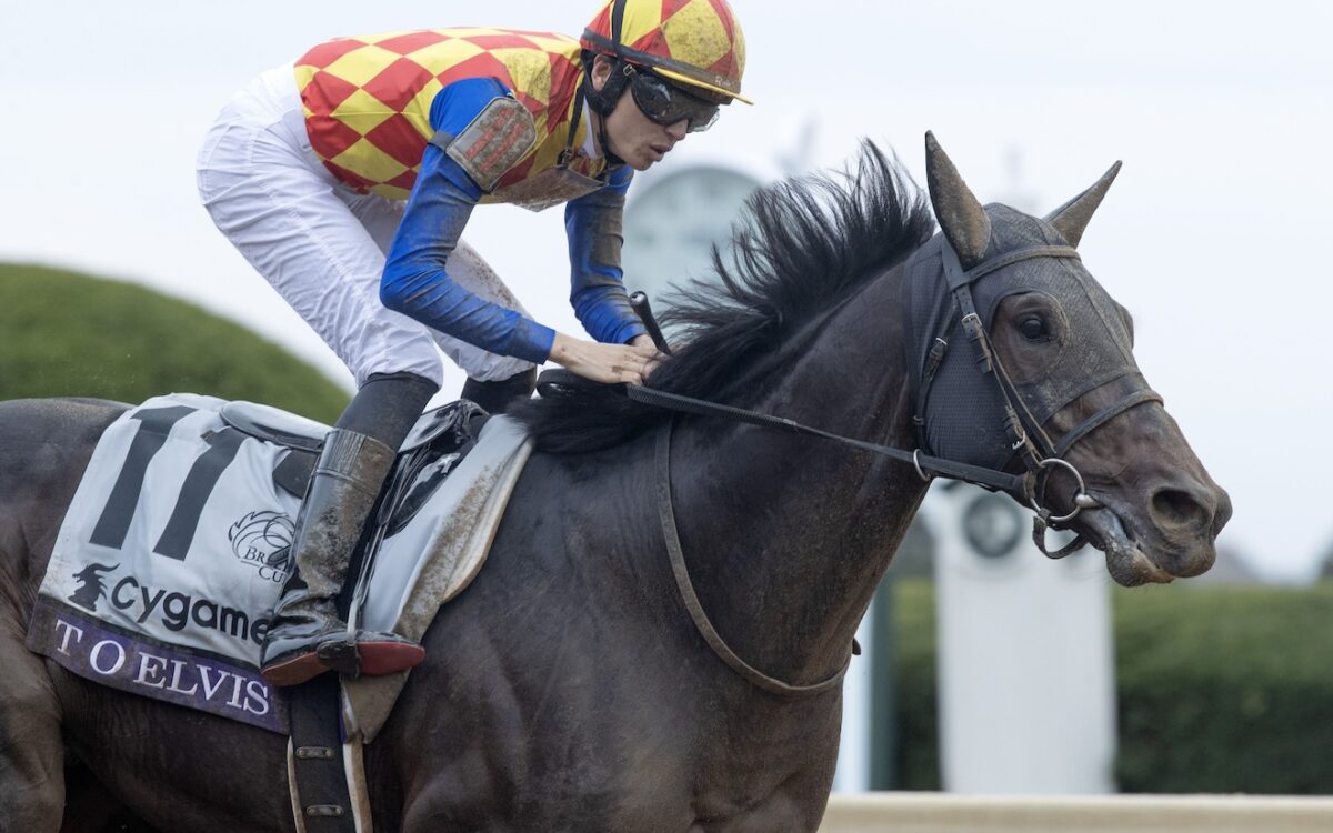 T O Elvis (Volatile) - Breeders' Cup Sprint G1 $2,000,000 - Barbara D. Livingston - Daily Racing Form