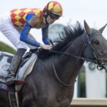 T O Elvis (Volatile) - Breeders' Cup Sprint G1 $2,000,000 - Barbara D. Livingston - Daily Racing Form