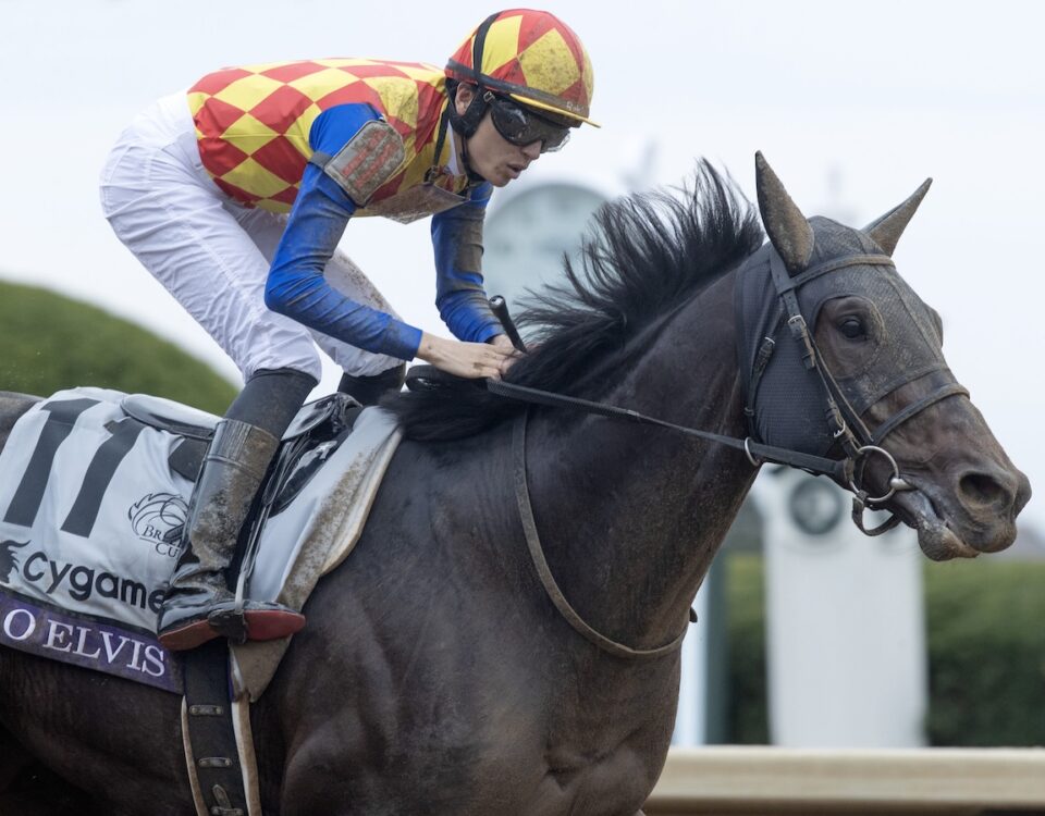 T O Elvis (Volatile) - Breeders' Cup Sprint G1 $2,000,000 - Barbara D. Livingston - Daily Racing Form