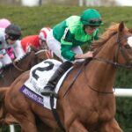 Benvenuto Cellini (Ire) (Frankel (GB)) - Breeders' Cup Turf G1 $5,000,000 - Ciara Bowen - Daily Racing Form