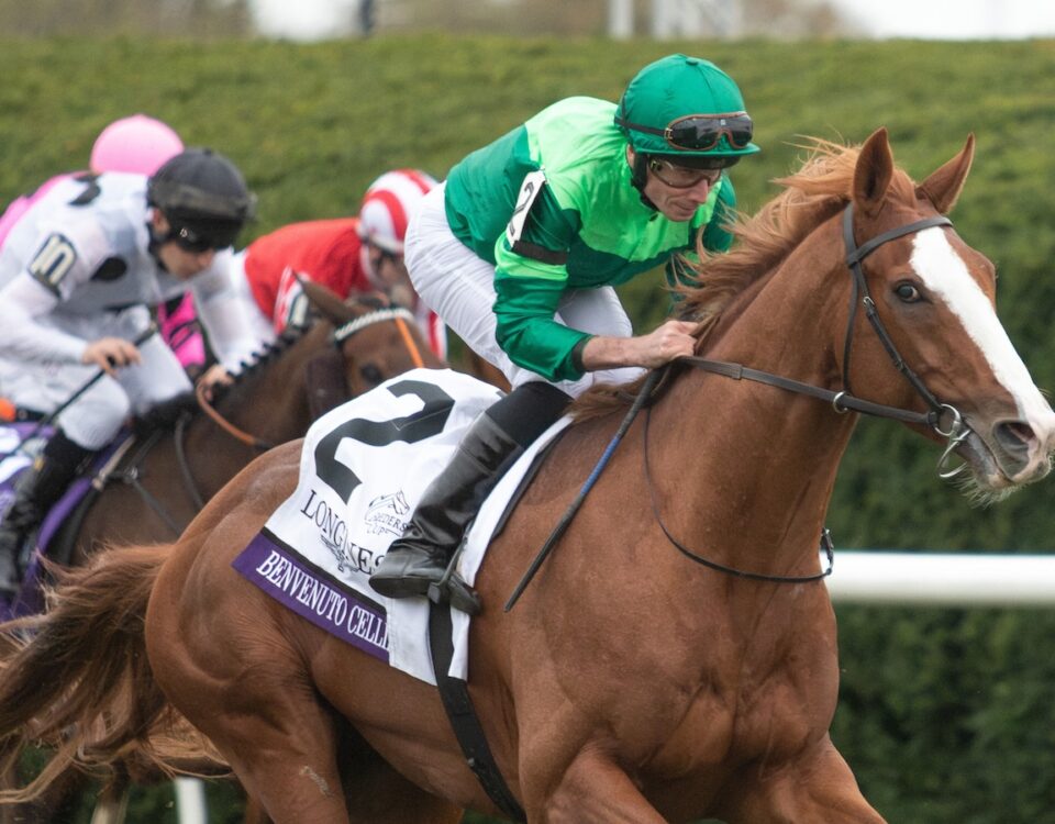 Benvenuto Cellini (Ire) (Frankel (GB)) - Breeders' Cup Turf G1 $5,000,000 - Ciara Bowen - Daily Racing Form