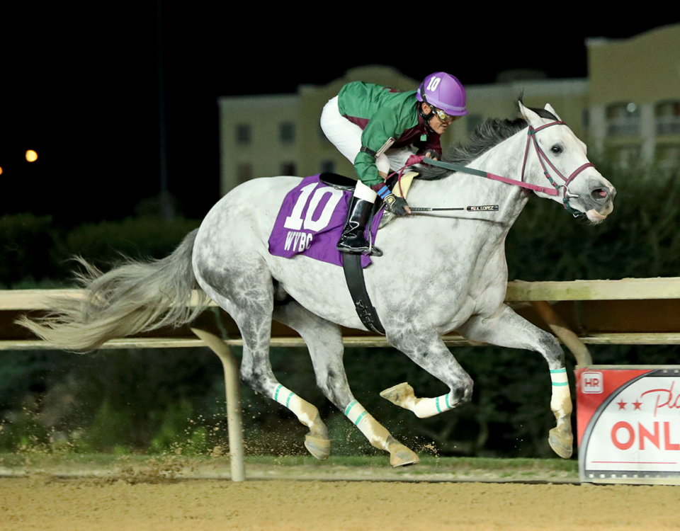 JUBAWITHATWIST - Sam Huff WV Breeders Classic - Coady Media