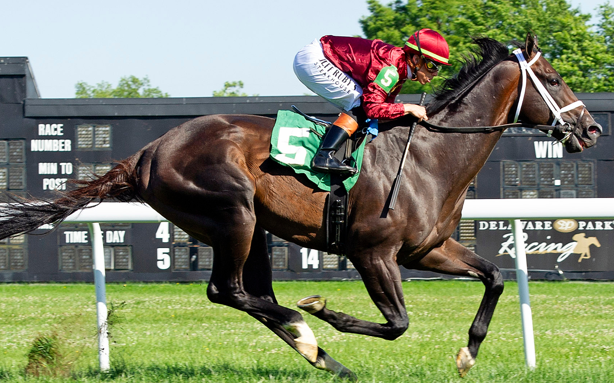 Just a Touch - photographer for Hoofprints, Inc_