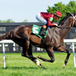 Just a Touch - photographer for Hoofprints, Inc_