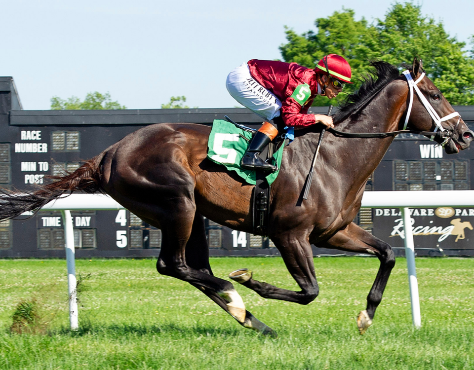 Just a Touch - photographer for Hoofprints, Inc_