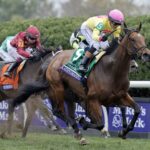 Kathynmarissa - Breeders' Cup Filly & Mare Turf G1 2026 - Keeneland - Barbara D. Livingston - Daily Racing Form