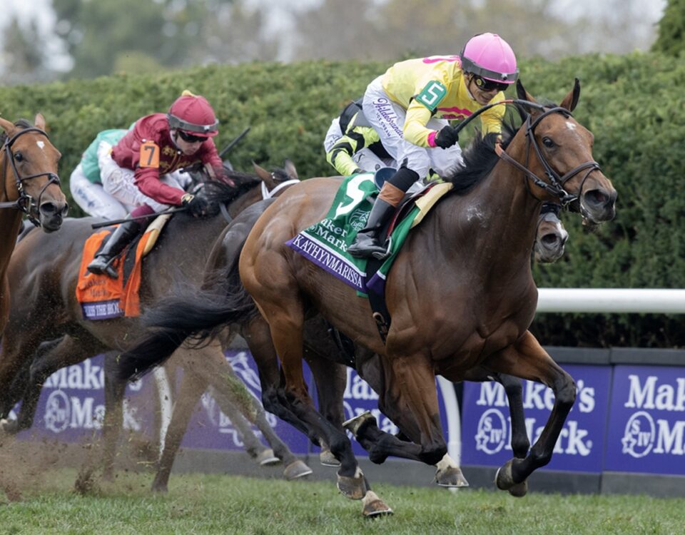 Kathynmarissa - Breeders' Cup Filly & Mare Turf G1 2026 - Keeneland - Barbara D. Livingston - Daily Racing Form