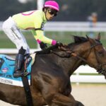 Kathynmarissa - Flower Bowl G2 - Barbara D. Livingston - Daily Racing Form