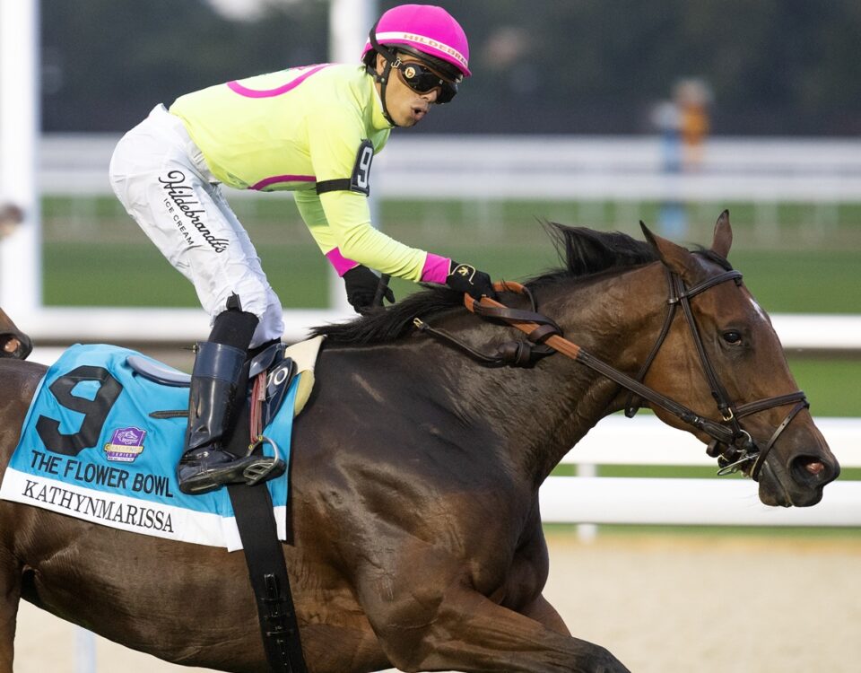 Kathynmarissa - Flower Bowl G2 - Barbara D. Livingston - Daily Racing Form