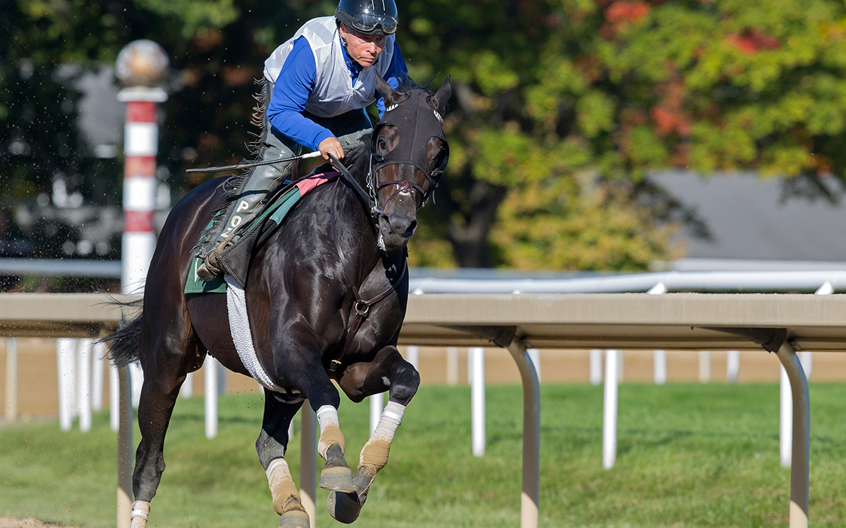 Knightsbridge - Barbara D. Livingston - Daily Racing Form
