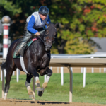 Knightsbridge - Barbara D. Livingston - Daily Racing Form