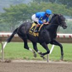 Knightsbridge – Monmouth Park Racetrack – Photo By Ryan Denver/EQUI-PHOTO