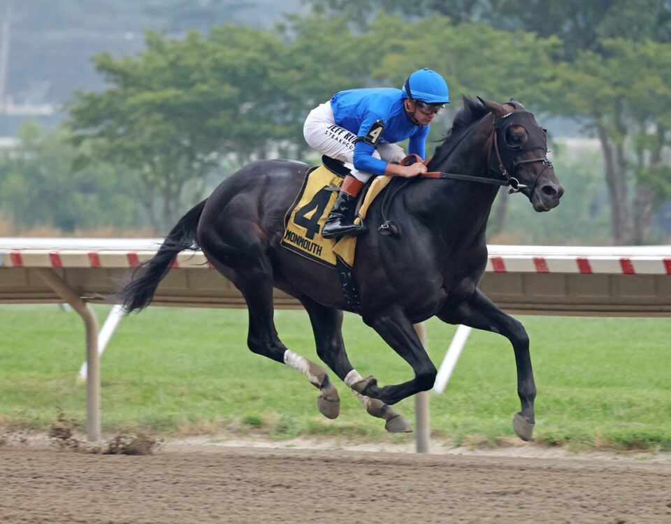 Knightsbridge – Monmouth Park Racetrack – Photo By Ryan Denver/EQUI-PHOTO